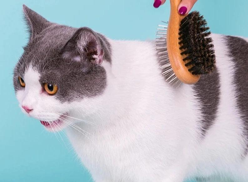 Pet Double-Sided Stainless Steel Brush Comb - Happy Tail Center