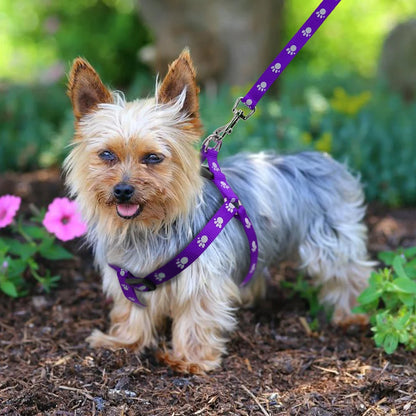 PawPrint Puppy Harness and Leash Set - Safety and Style for Your Little Pup! - Happy Tail Center