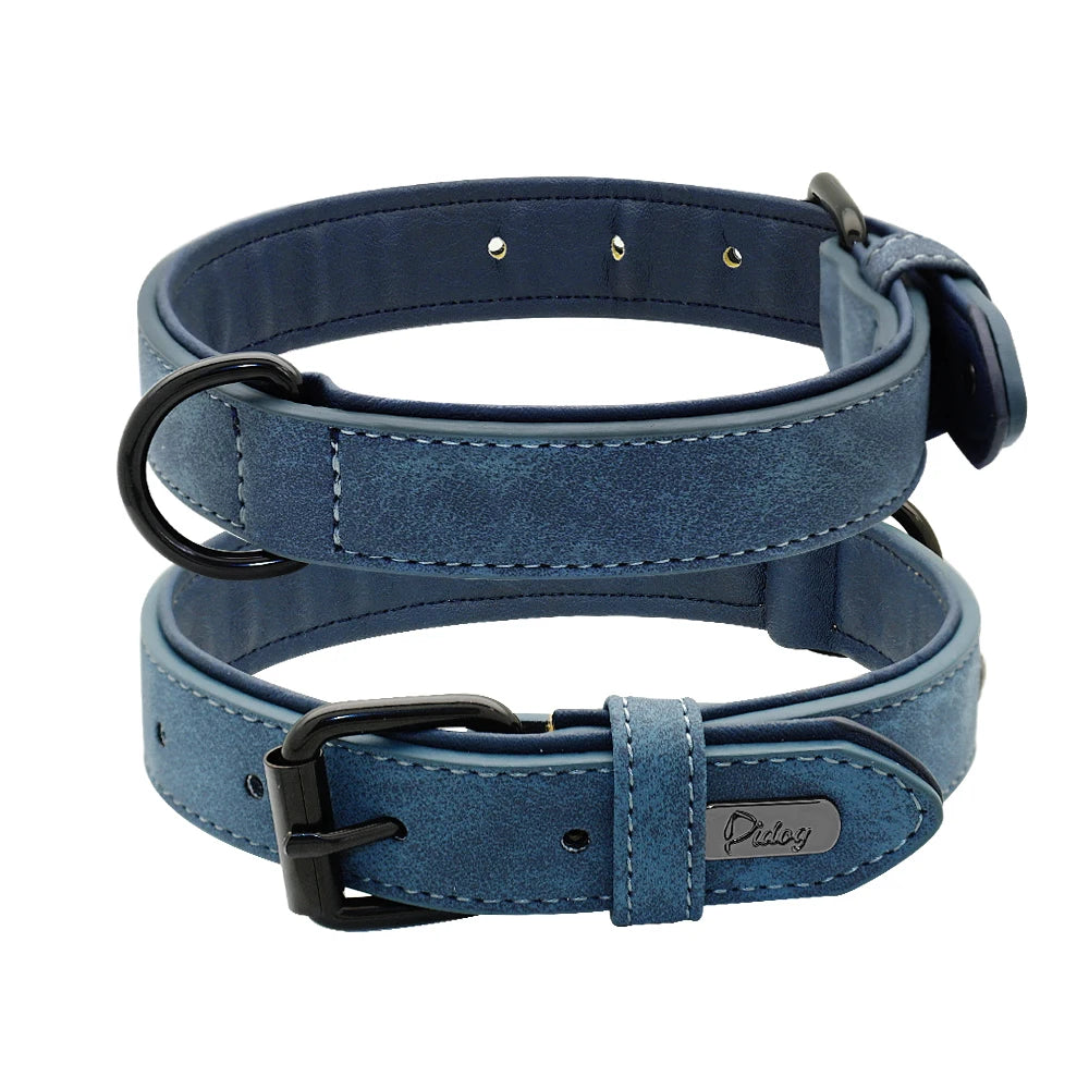 Soft Padded Leather Dog Collar for Small, Medium & Big Dogs - Happy Tail Center