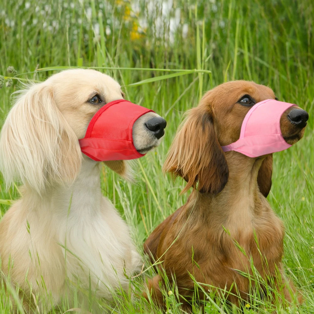 Dog Muzzle – Anti-Bite, Anti-Chew, and Anti-Bark Mouth Cover - Happy Tail Center