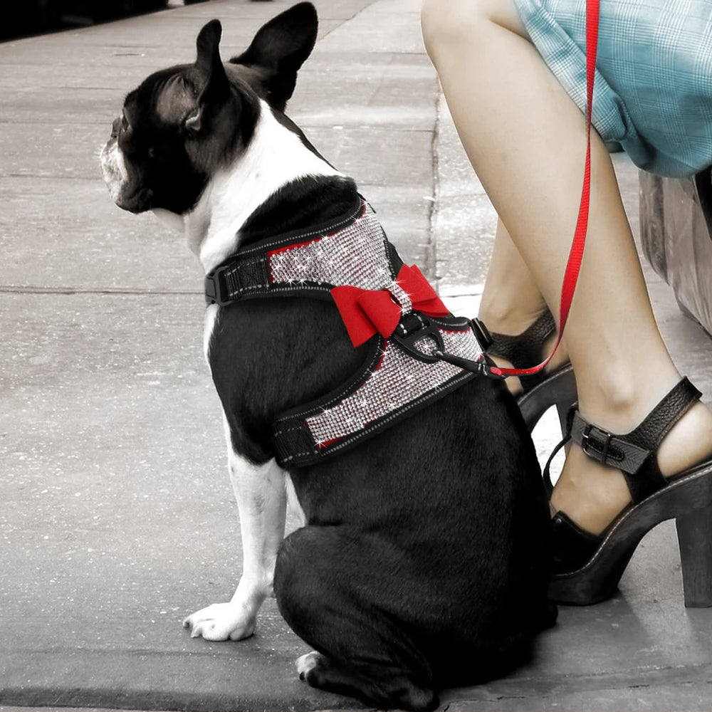 Stylish Reflective Nylon Dog Harness: Safety and Elegance Combined! - Happy Tail Center