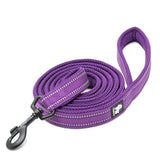Soft Reflective Pet Leash and Harness Set - Nylon Mesh for Walking and Training