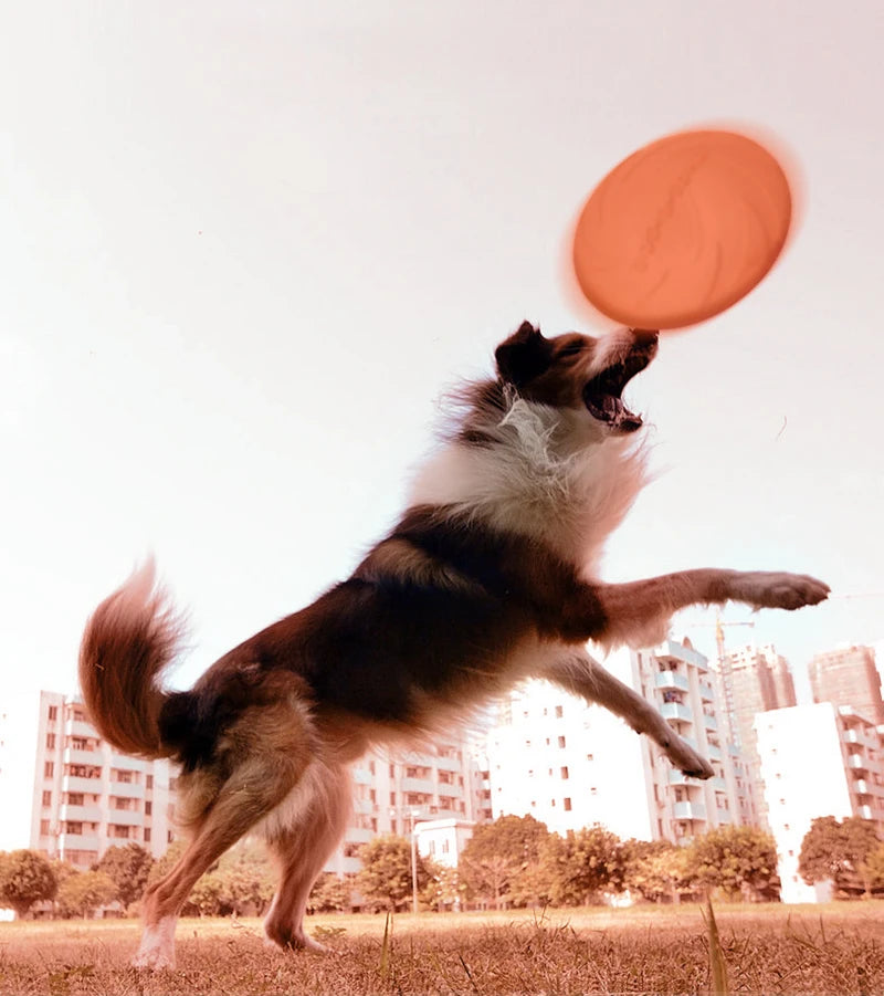 Interactive Flying Disc Dog Toy – Train and Play Outdoors with Your Pet! - Happy Tail Center