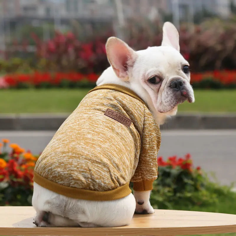 Winter Hoodies & Sweaters for Small to Medium Dogs - Warm Clothing for French Bulldog, Chihuahua, Yorkie - Happy Tail Center