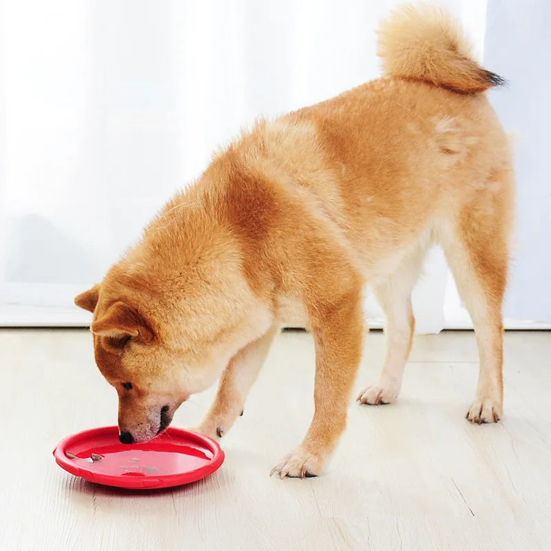 Interactive Flying Disc Dog Toy – Train and Play Outdoors with Your Pet! - Happy Tail Center