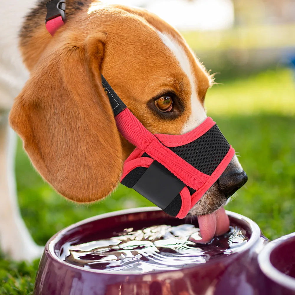 Mesh Nylon Dog Muzzle – Anti-Biting Training Muzzle for Small, Medium, Large Dogs - Happy Tail Center