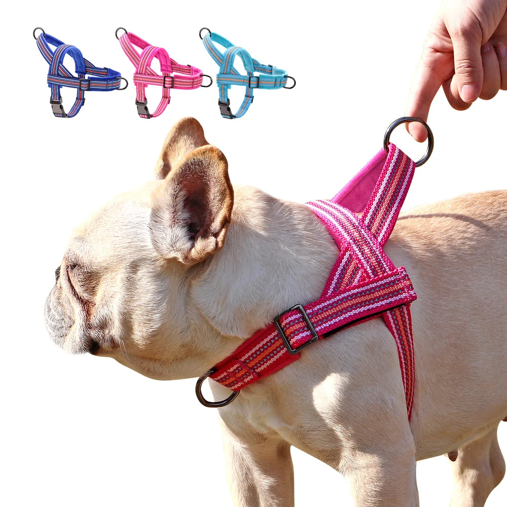 Reflective Nylon Dog Harness - Padded Winter Vest with Handle for Dogs of all Sizes