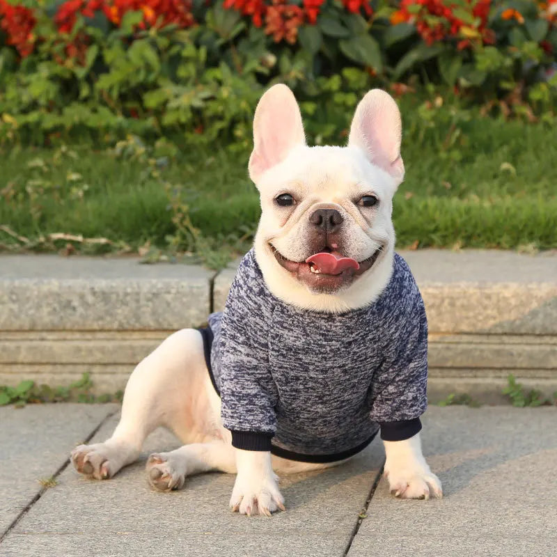 Winter Hoodies & Sweaters for Small to Medium Dogs - Warm Clothing for French Bulldog, Chihuahua, Yorkie - Happy Tail Center