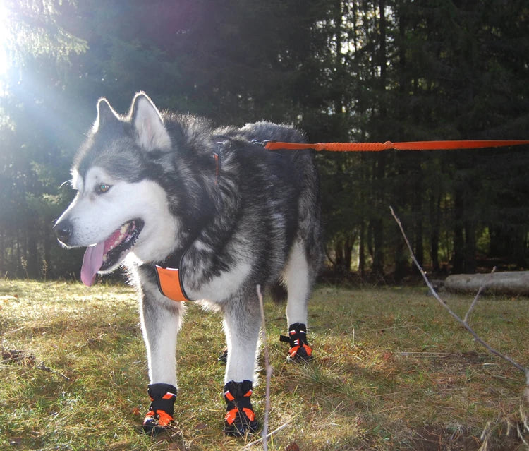 Waterproof Reflective Pet Boots for Dogs: Keep Your Canine Companion Safe on Outdoor Adventures! - Happy Tail Center