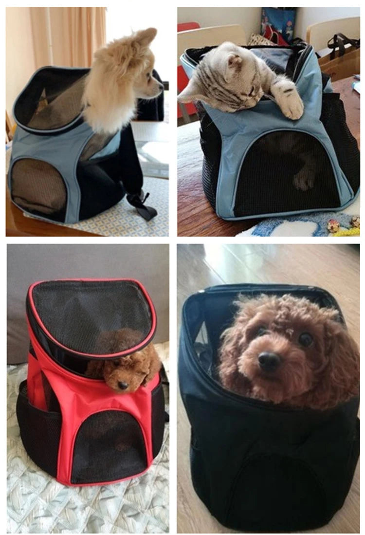 Foldable Pet Carrier Backpack – Your Pet's Ultimate Travel Companion! - Happy Tail Center