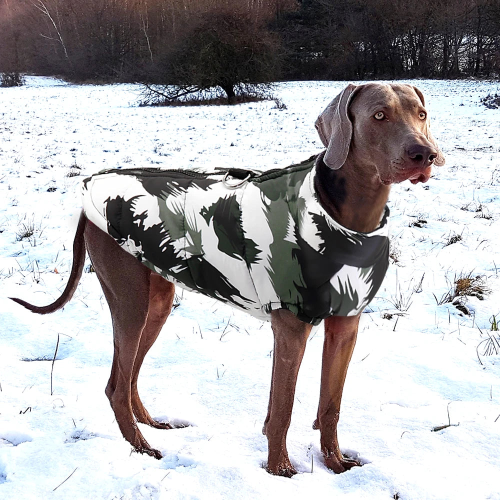 Warm Winter Jacket for Large Breeds: Cozy Outerwear for Cold Days! - Happy Tail Center