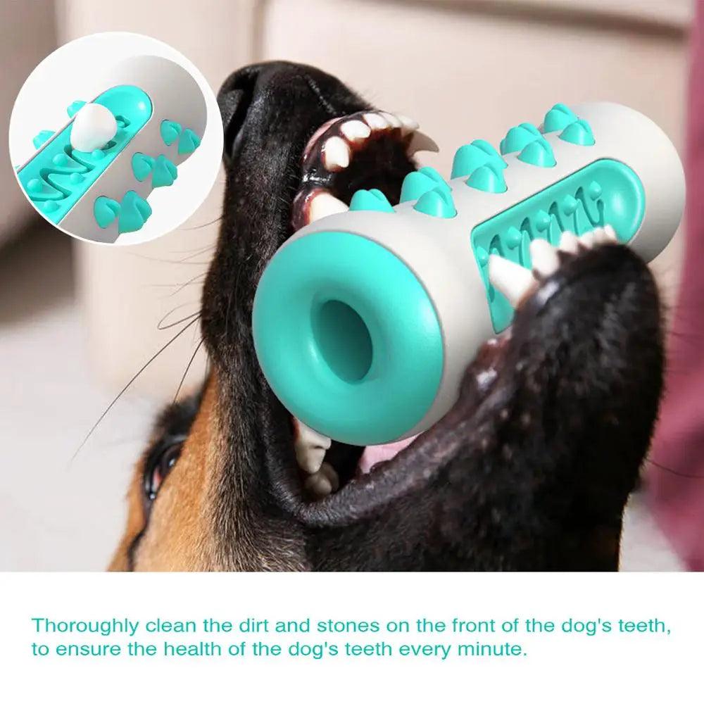 Dog Molar Toothbrush Toy | Keep Your Dog's Teeth Clean and Healthy - Happy Tail Center