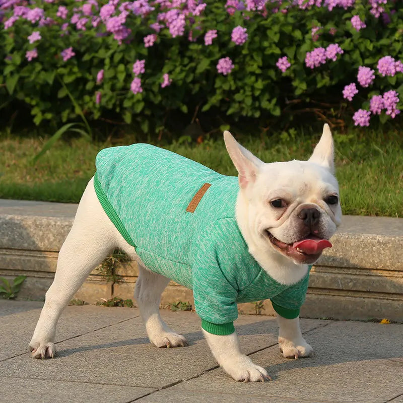 Winter Hoodies & Sweaters for Small to Medium Dogs - Warm Clothing for French Bulldog, Chihuahua, Yorkie - Happy Tail Center