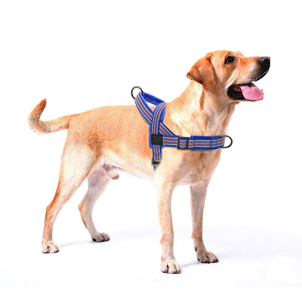 Reflective Nylon Dog Harness - Padded Winter Vest with Handle for Dogs of all Sizes