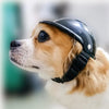 Funny Pet Helmet - Add Flair to Your Pet's Summer Adventures