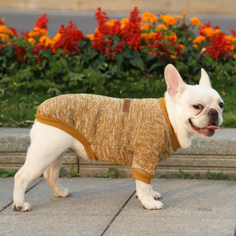 Winter Hoodies & Sweaters for Small to Medium Dogs - Warm Clothing for French Bulldog, Chihuahua, Yorkie - Happy Tail Center