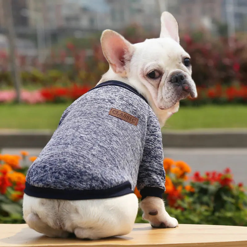 Winter Hoodies & Sweaters for Small to Medium Dogs - Warm Clothing for French Bulldog, Chihuahua, Yorkie - Happy Tail Center