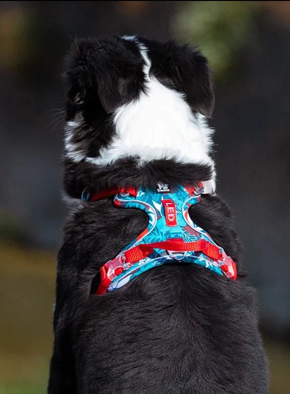 Pet Camouflage Reflective Nylon Dog Harness: Special Edition