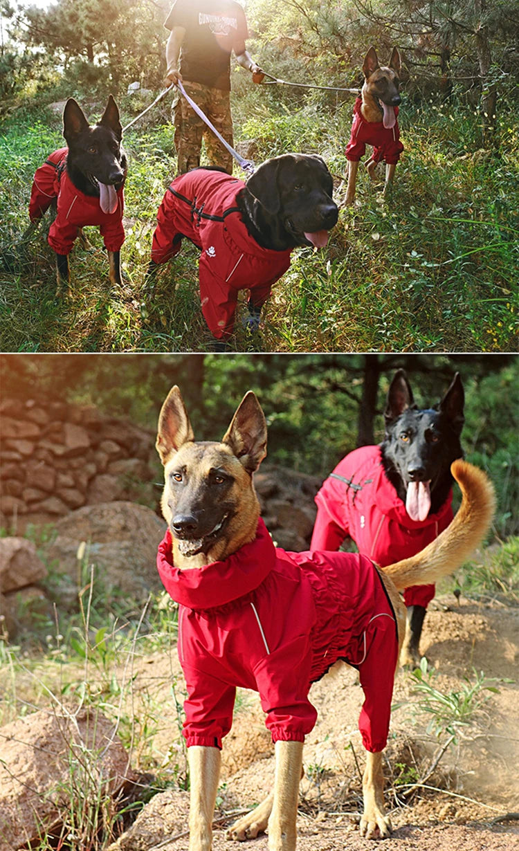 Waterproof Outdoor Jacket for Dogs: Keep Your Canine Companion Warm and Dry! - Happy Tail Center