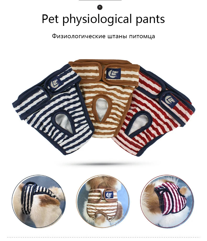 Washable Pet Dog Diaper Physiological Pants - Happy Tail Center