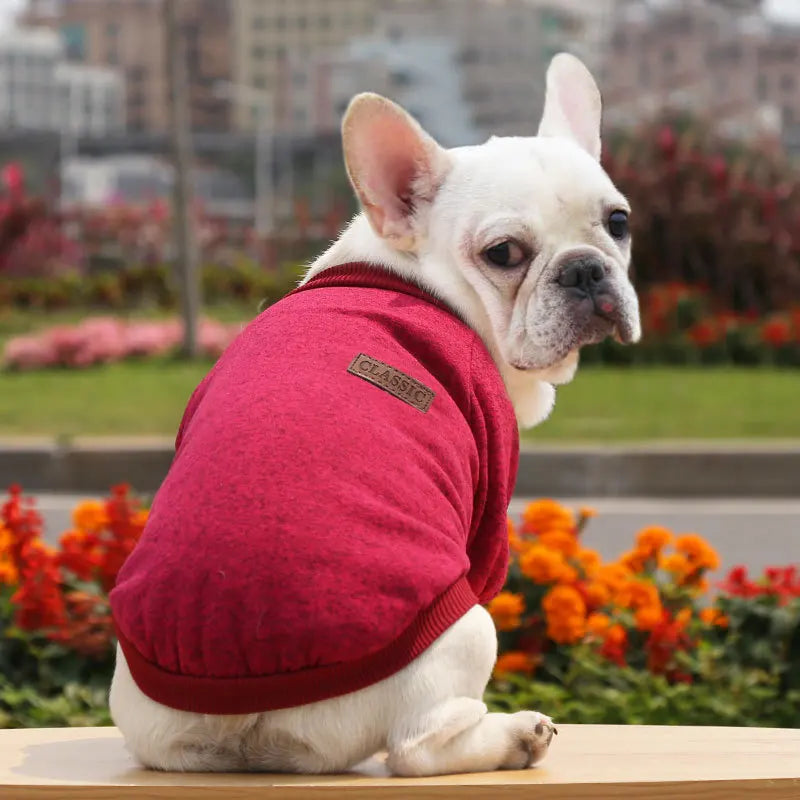 Winter Hoodies & Sweaters for Small to Medium Dogs - Warm Clothing for French Bulldog, Chihuahua, Yorkie - Happy Tail Center