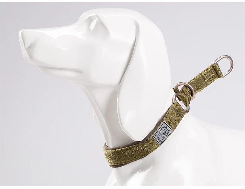 Nylon Webbing P-Chain Pet Collar – Ideal for Running and Training! - Happy Tail Center