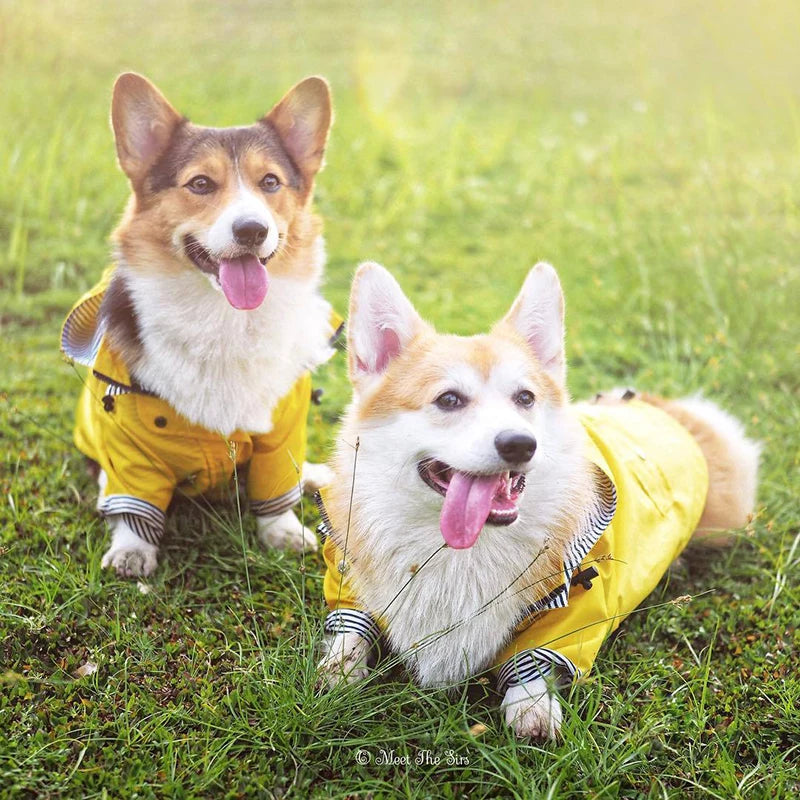 Waterproof Pet Dog Coat – Fashionable Hooded Jacket for All Sizes! - Happy Tail Center