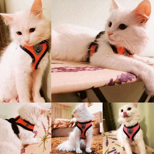 Adjustable Cat Harness Vest with Leash - Mesh Walking Collar for Small Dogs and Pets