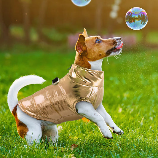 Waterproof Winter Jacket for Small Dogs: Keep Your Furry Friend Warm and Dry! - Happy Tail Center