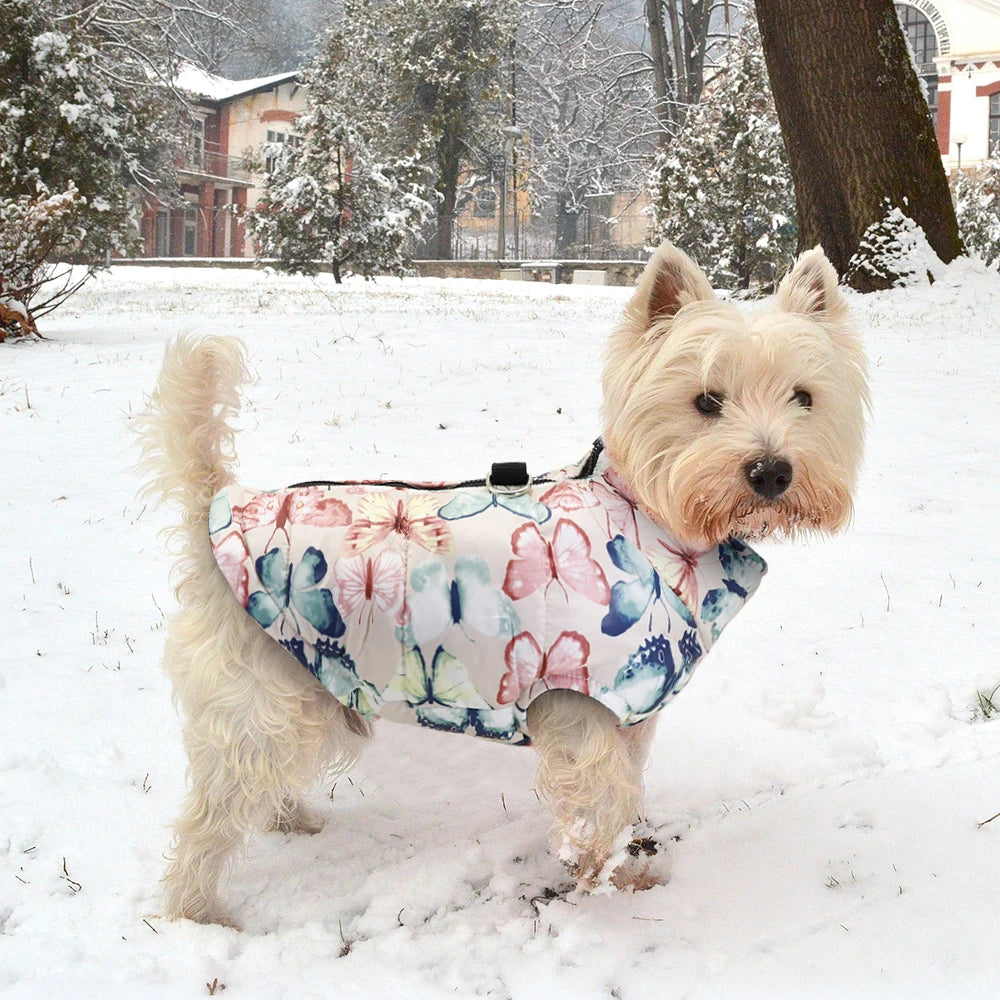 Warm Winter Jacket for Large Breeds: Cozy Outerwear for Cold Days! - Happy Tail Center