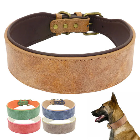 Wide Leather Dog Collar - Padded Collar for Medium to Large Dogs