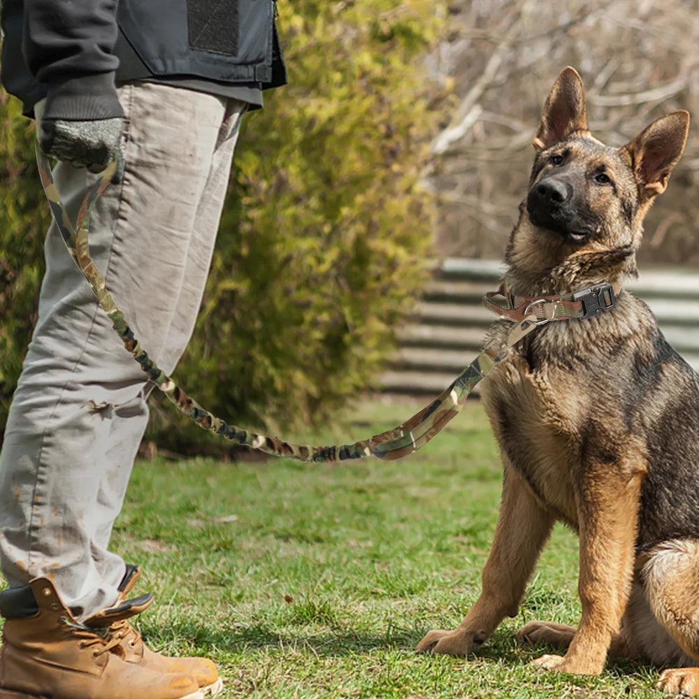 Rugged Tactical Dog Collar with Bungee Leash & Handle: Built for Durability and Control - Happy Tail Center