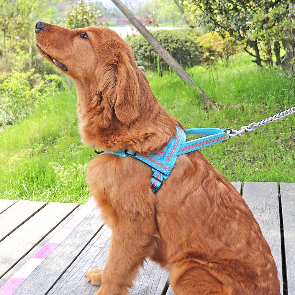 Reflective Nylon Dog Harness - Padded Winter Vest with Handle for Dogs of all Sizes