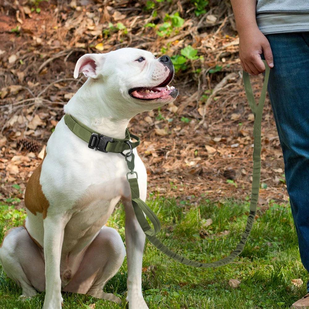 Rugged Tactical Dog Collar with Bungee Leash & Handle: Built for Durability and Control - Happy Tail Center