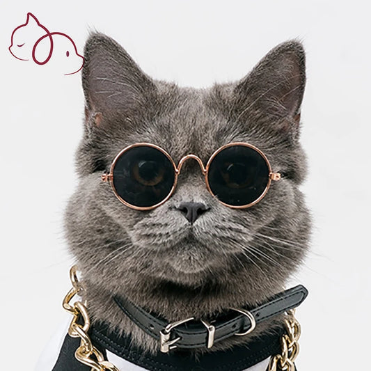 Stylish Pet Glasses - Fashionable Eyewear for Dogs and Cats - Happy Tail Center