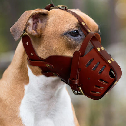 Real Leather Dog Muzzle – Anti-Bite Training Muzzle for Medium and Large Dogs - Happy Tail Center