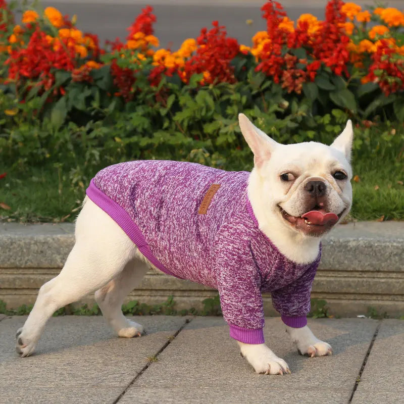 Winter Hoodies & Sweaters for Small to Medium Dogs - Warm Clothing for French Bulldog, Chihuahua, Yorkie - Happy Tail Center