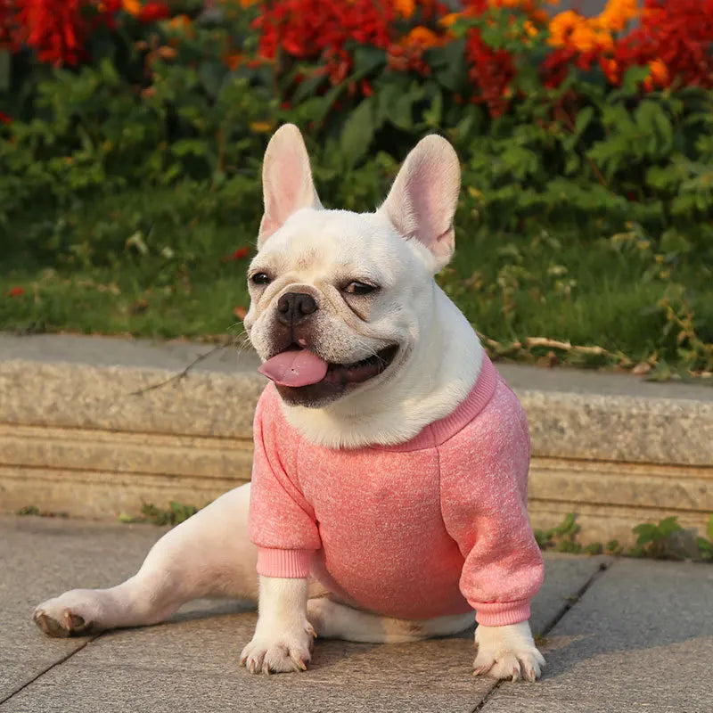 Winter Hoodies & Sweaters for Small to Medium Dogs - Warm Clothing for French Bulldog, Chihuahua, Yorkie - Happy Tail Center