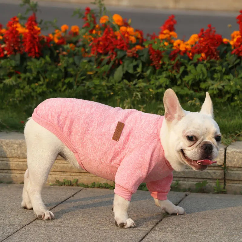 Winter Hoodies & Sweaters for Small to Medium Dogs - Warm Clothing for French Bulldog, Chihuahua, Yorkie - Happy Tail Center