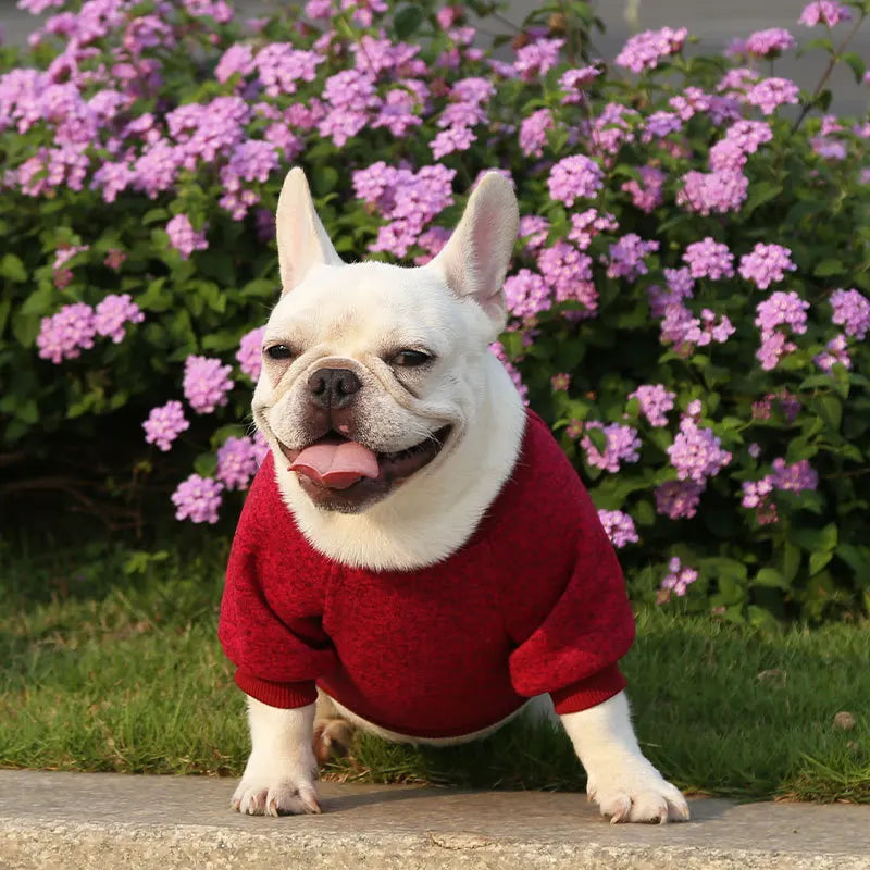 Winter Hoodies & Sweaters for Small to Medium Dogs - Warm Clothing for French Bulldog, Chihuahua, Yorkie - Happy Tail Center