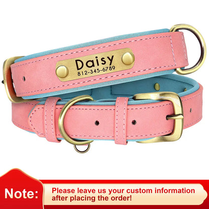 Soft Padded Leather Dog Collar with Custom ID Nameplate: Free Engraving - View 9 - Happy Tail Center