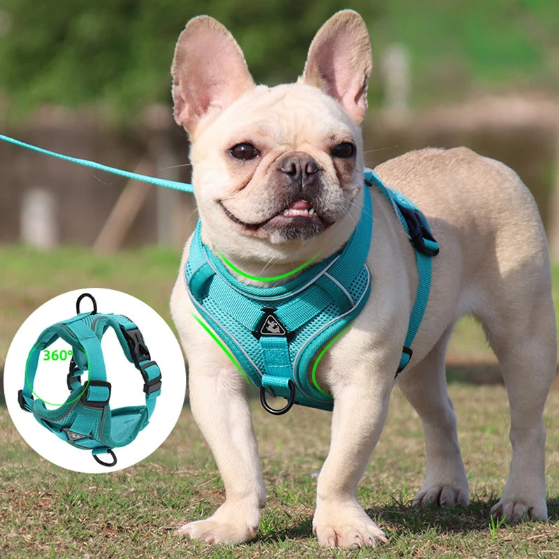 Adjustable Reflective Dog Harness Leash Set for Small and Large Pets