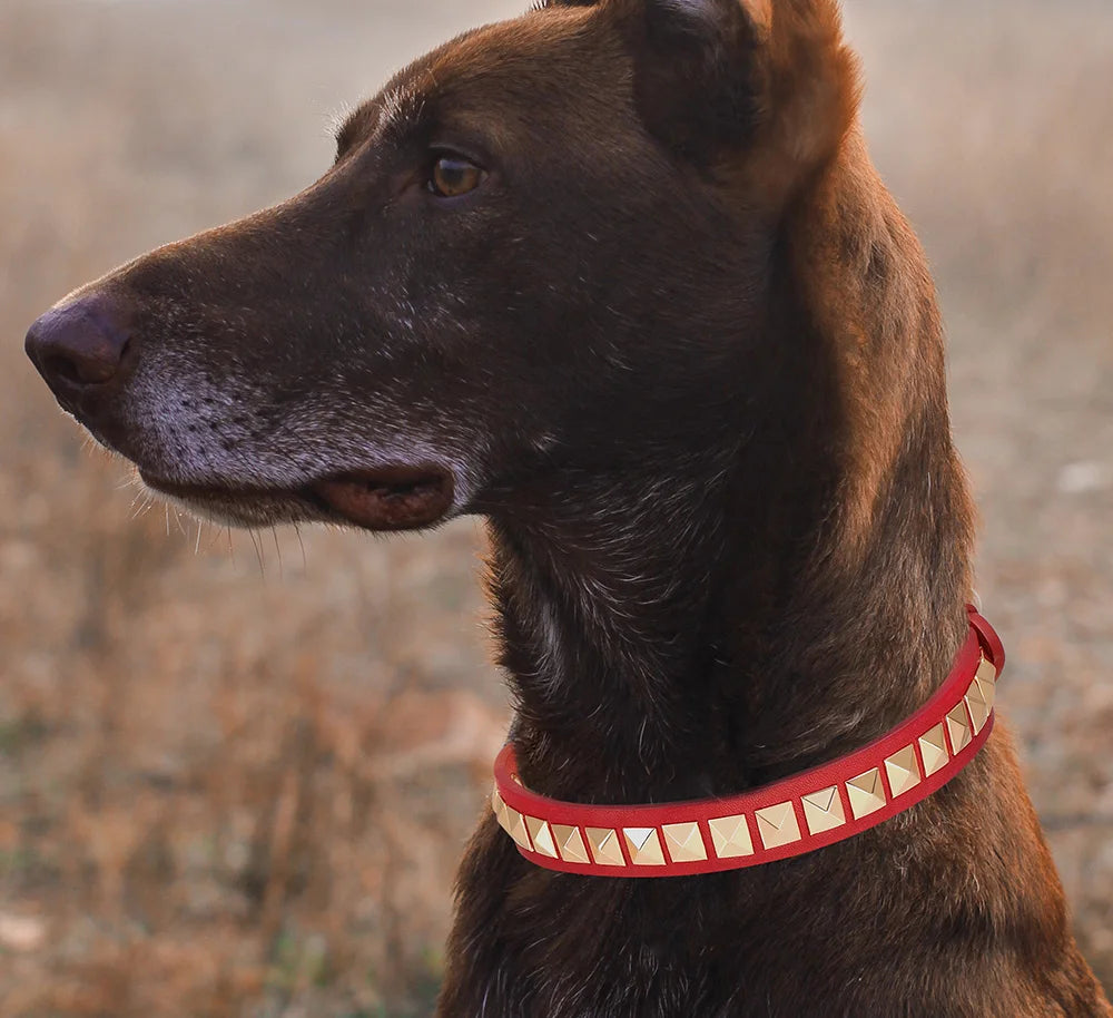 Padded PU Leather Dog Collar with Stud Rivets - Adjustable Red Collar for Small to Medium Dogs - Happy Tail Center