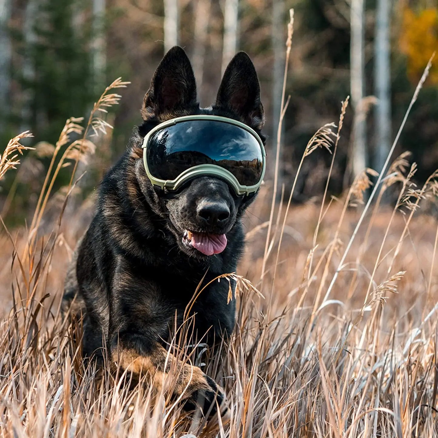 ATUBAN Dog Goggles - Anti-UV, Impact-Resistant Sunglasses for Large Breed Dogs