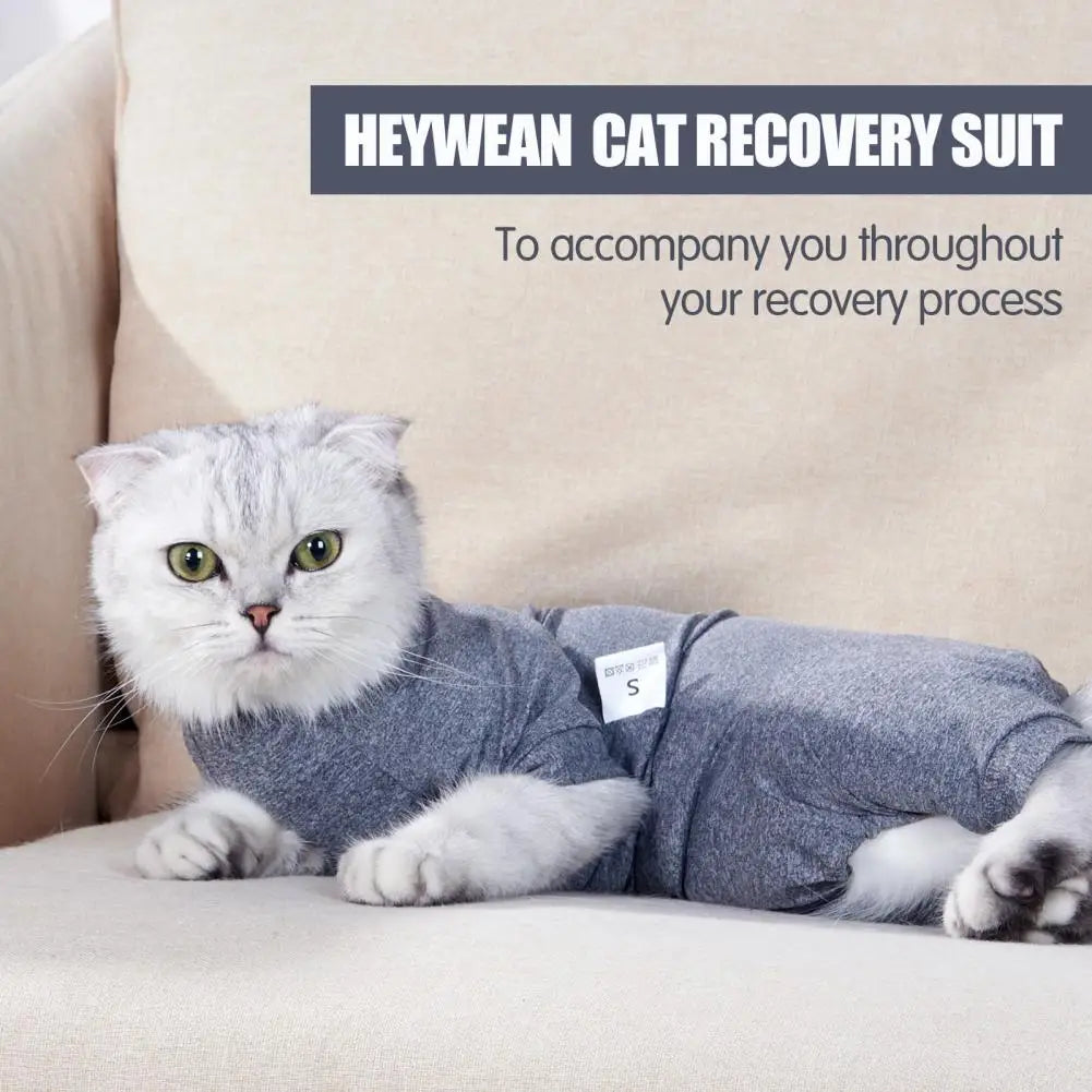 Pet Recovery Suit for Cats - Post-Surgery Care Bodysuit