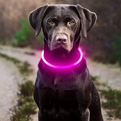 LED Anti-Lost Light-Up Dog Collar for Dogs and Puppies - View 3 - Happy Tail Center