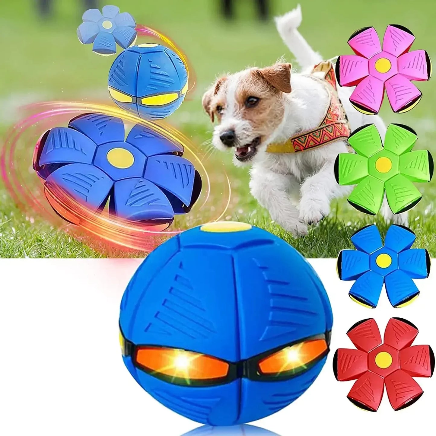 Dog Toy Magic Flying Saucer Ball – Interactive Outdoor Sports Training Games - Happy Tail Center