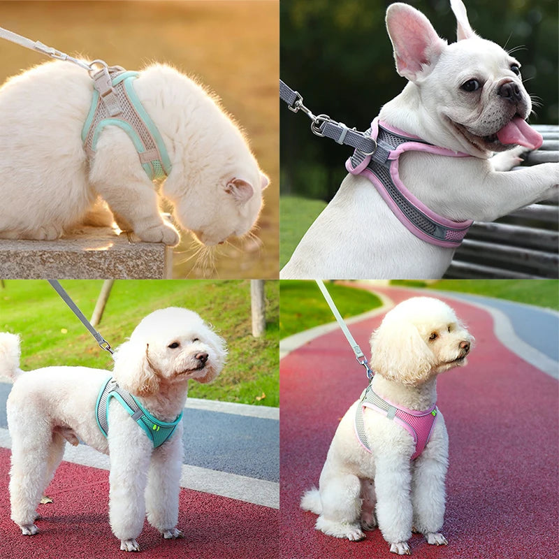 Adjustable Cat Harness & Leash Set: Walking Gear for Cats & Small Dogs