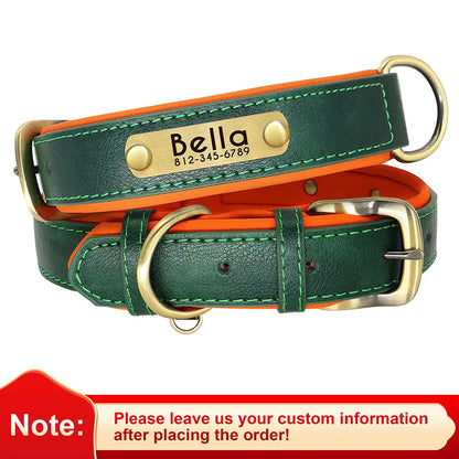 Soft Padded Leather Dog Collar with Custom ID Nameplate: Free Engraving - View 8 - Happy Tail Center