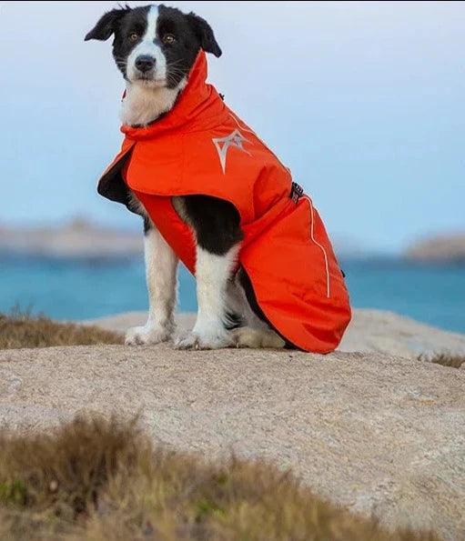 Windproof Reflective Dog Winter Coat - Ideal for Outdoor Adventures! - Happy Tail Center